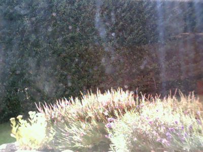 2017-08-06_cam_A-outdoor.png