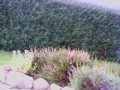 2017-08-06_cam_F-outside.png