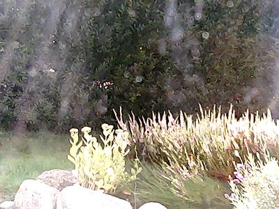 2017-08-06_cam_10-outside.png
